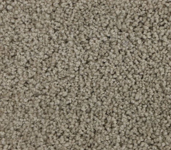 Striking Allure Taupe Whisper