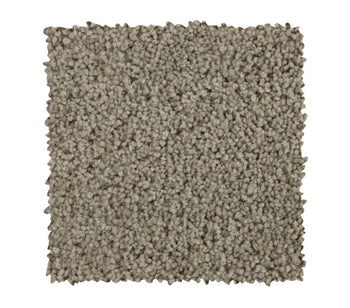 Striking Allure Taupe Whisper