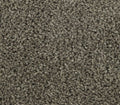 Striking Allure Urban Putty