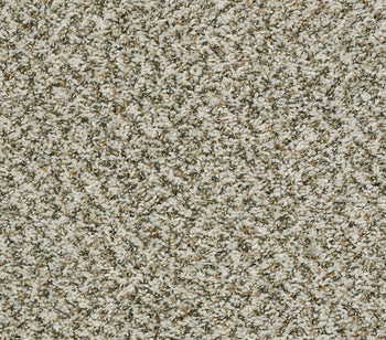 Venture Berber Canvas