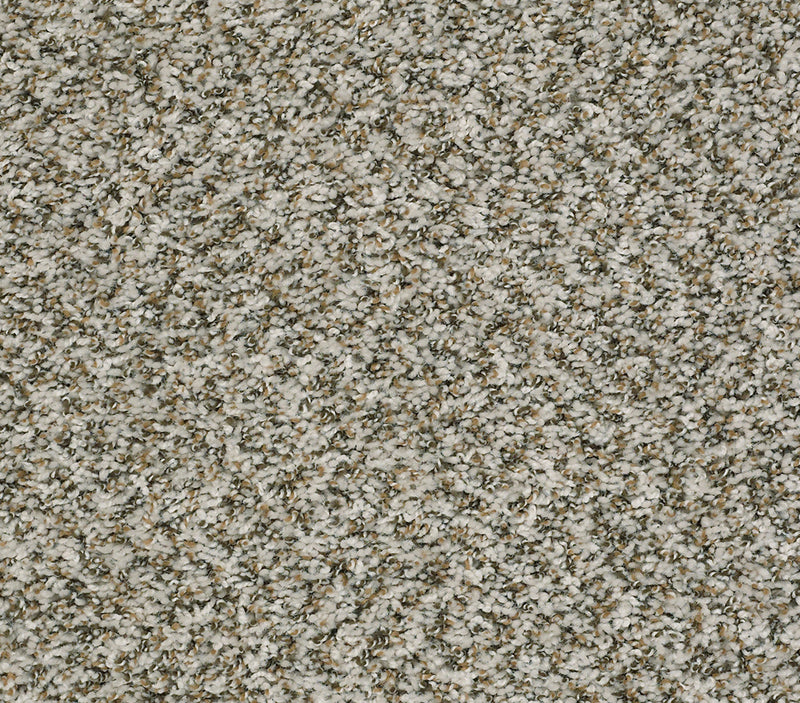 Venture Berber Clam Shell Carpet | RiteRug Flooring