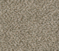 Venture Berber Desert