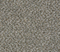Venture Berber Fossil