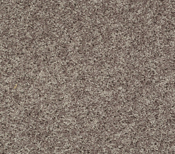Venture Solid Charcoal