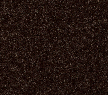 Venture Solid Coffee Bean