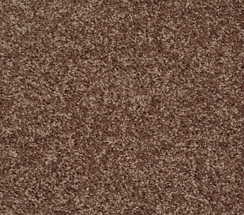 Venture Solid Mocha