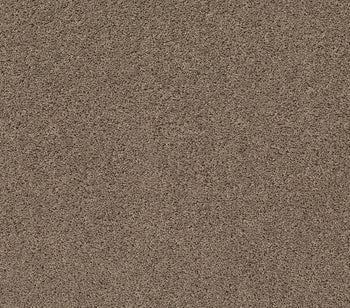 Venture Solid Natural Tan