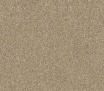 Whats Up French Canvas